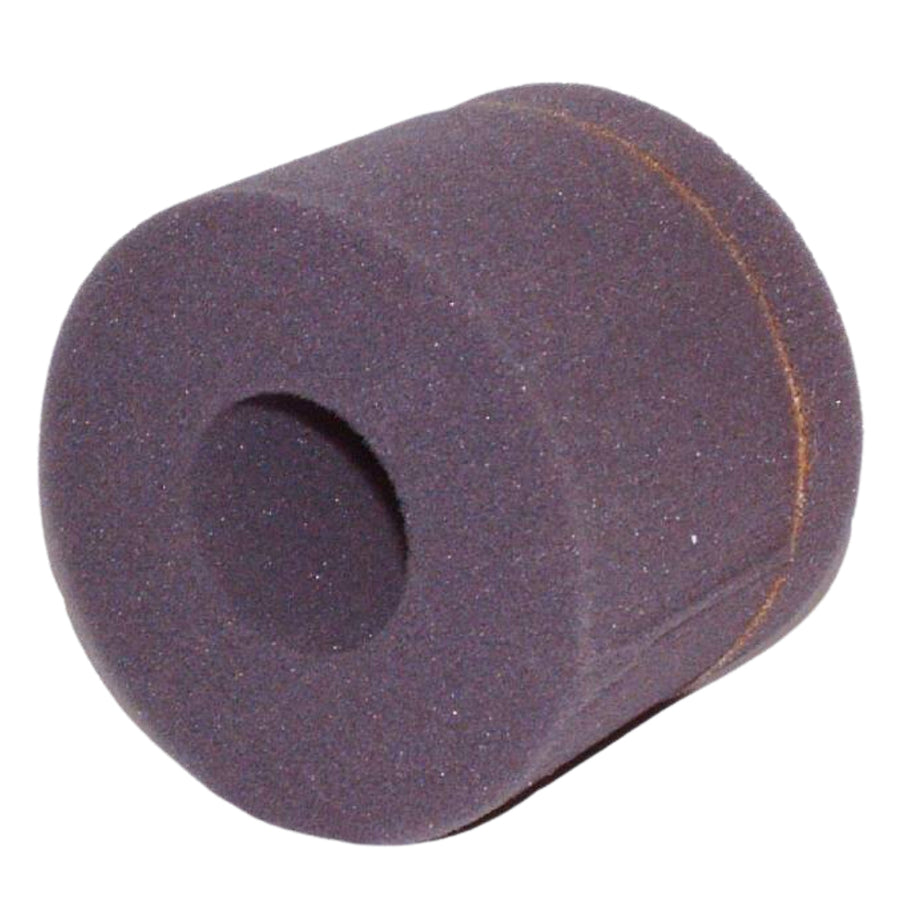 Foam Filter DC1100